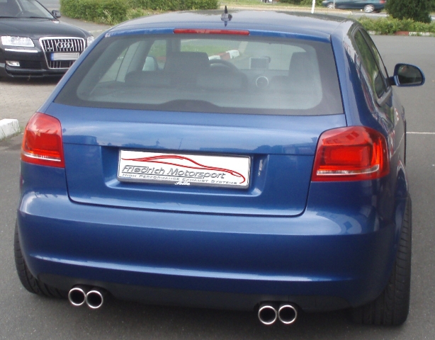 Friedrich Motorsport Gr.A Duplexanlage Audi A3 8P