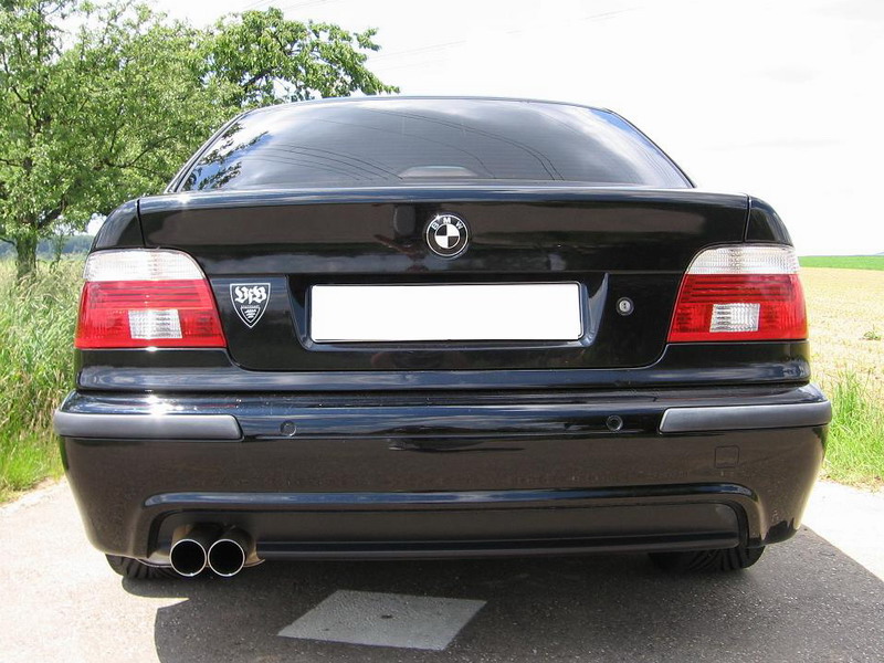 Eisenmann Endschalldämpfer für BMW E39 Limousine 520i 523i 525i 528i 530i 2x76mm Race-Version Eisenmann Endschalldämpfer BMW E39 2x76mm Race kaufen