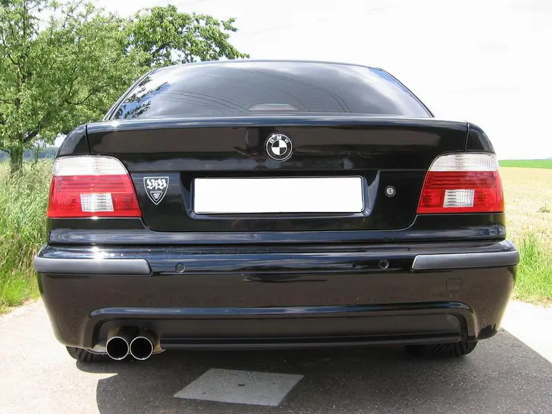 Eisenmann Endschalldämpfer für BMW E39 Limousine 520i 523i 525i 528i 530i 2x76mm Race-Version