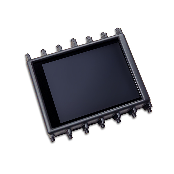 CANchecked Daten-Display Dodge Charger LX Gen2