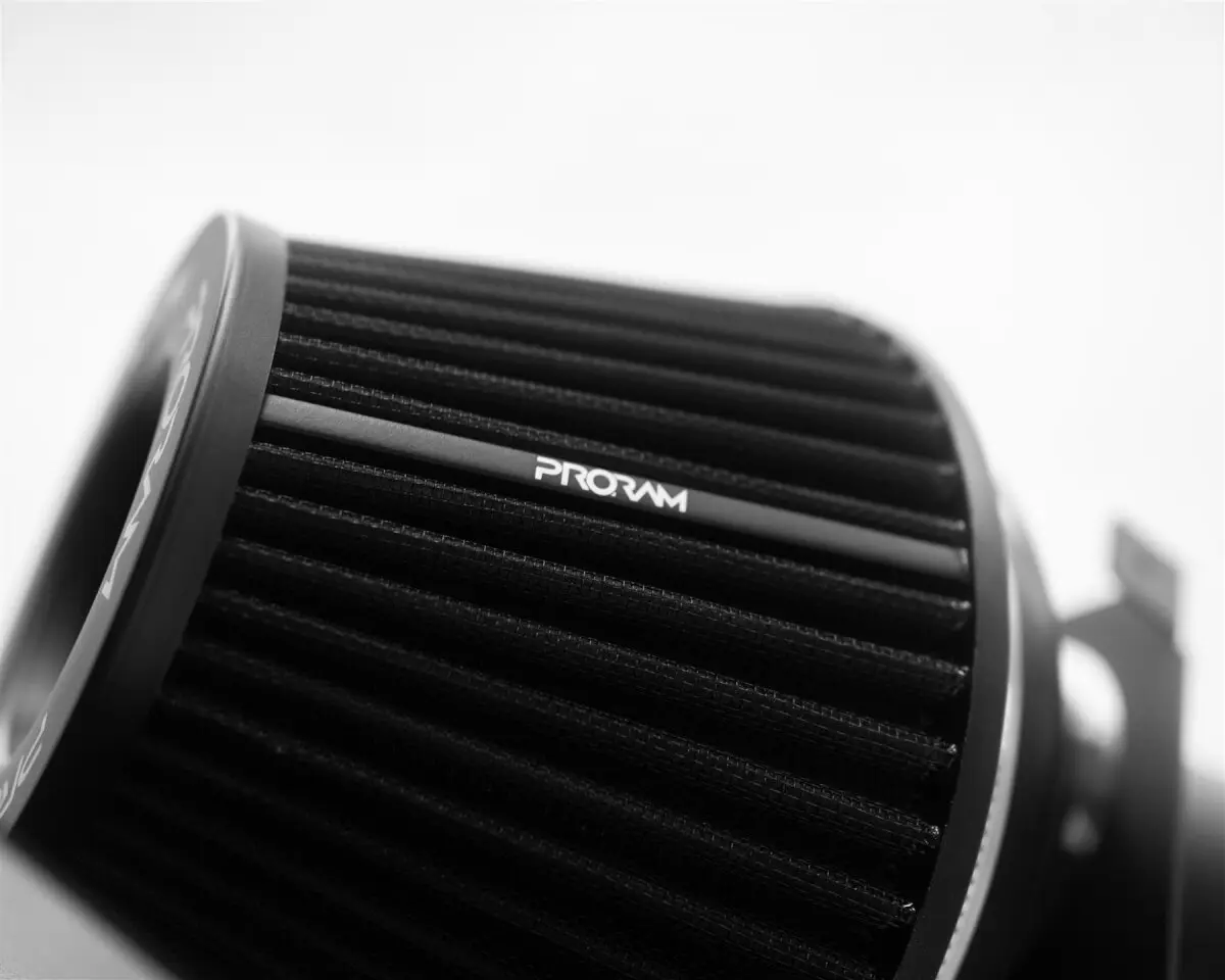 Ramair PRK-276-BK Air-Intake für BMW M2/M3/M4 günstig