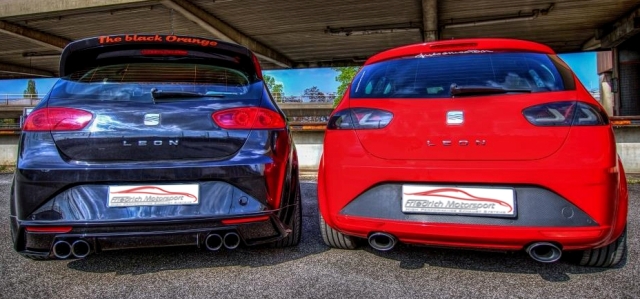 Friedrich Motorsport Duplex Endschalldämpfer Seat Leon Foto