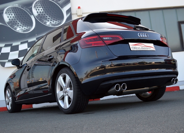 Friedrich Motorsport Duplexanlage Audi A3 8V kaufen