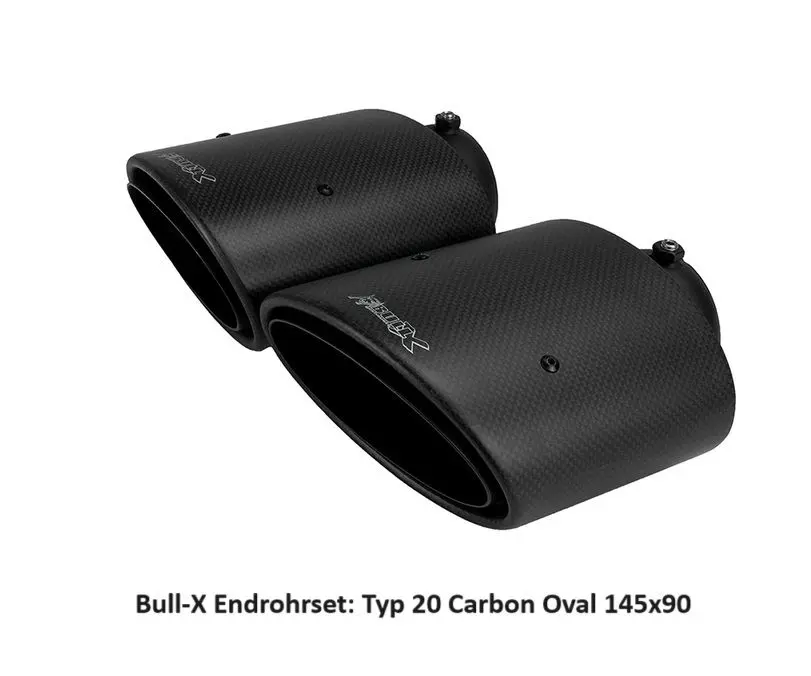 EGO-X Abgasanlage 3,5 Zoll für Audi RS3 8V quattro Foto