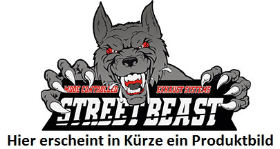 StreetBeast  76mm Duplex-Endschalldämpfer mit Soundgenerator, BMW X3 F25