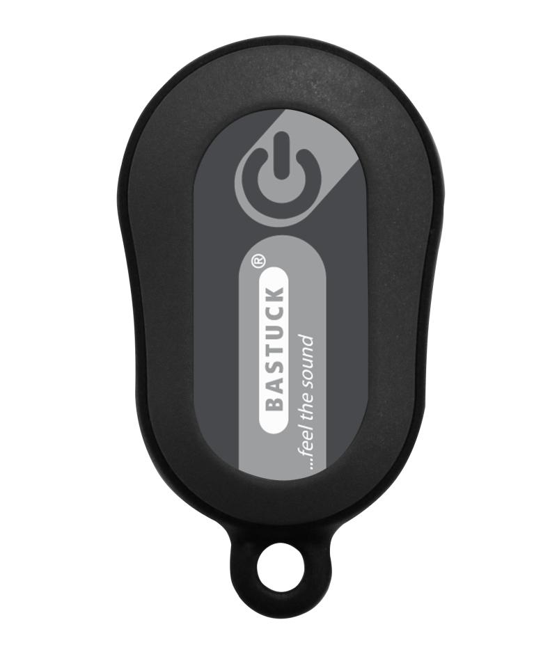 Bastuck Sportauspuff Honda Civic 10 Race-Look günstig