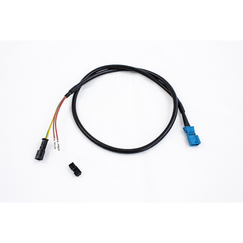 ASR Klappensteuerung RX2 Audi RS3 8Y Foto